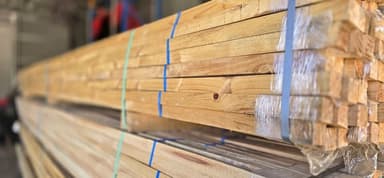 Pine Timber Lengths - Orange