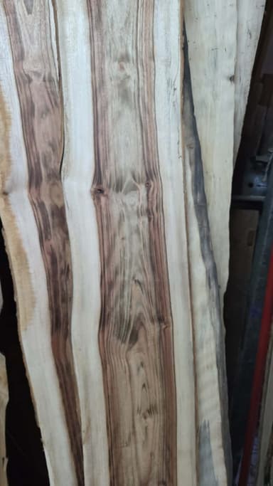 Camphor Laurel Timber Slabs - Sheldon