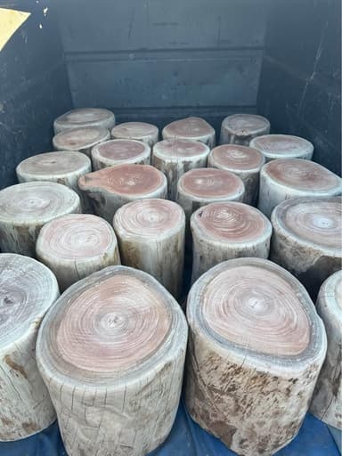 Timber Stumps — Outdoor Seating - Ingleside