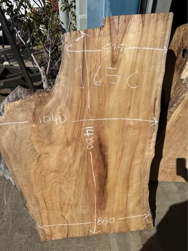 Camphor Laurel Live Edge Slab - Mona Vale