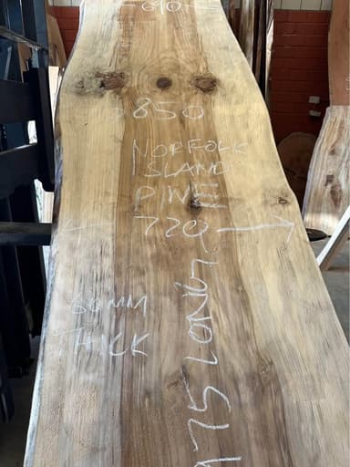 Norfolk Island Pine Slab - Mona Vale